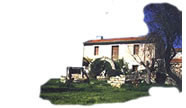 Old houses and village properties for sale and to rent in Cyprus